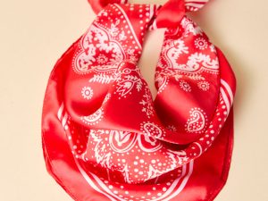 Rhea Red Bandana